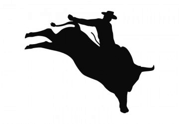 picture of Rodeo3